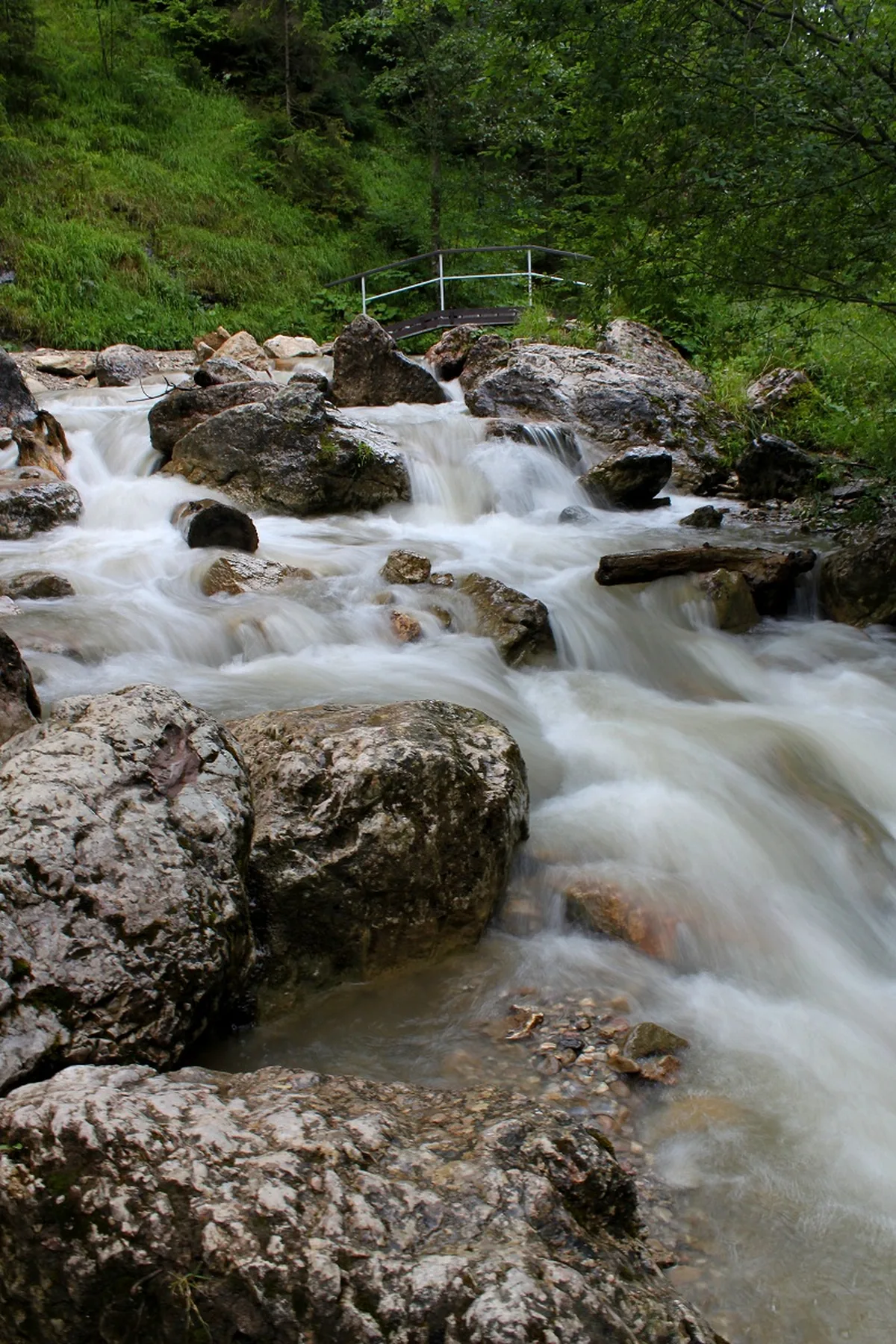 Wąwóz Homole w Małych Pieninach, wapienne ściany i potok